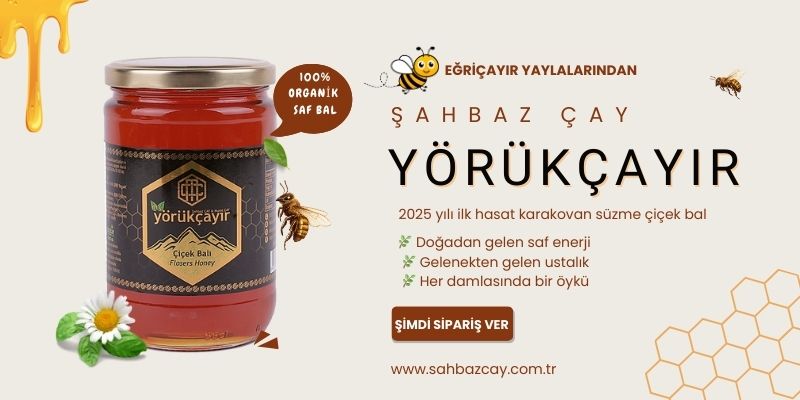 Şahbaz Çaylı Yörükçayır Organik bal