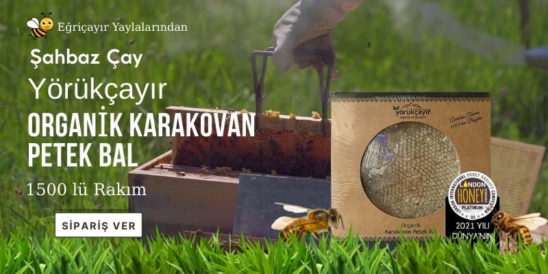 Yörükçayır Organik Polifloralı Karakoavan petek Bal